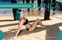 Dream Vixens Jan 2017
